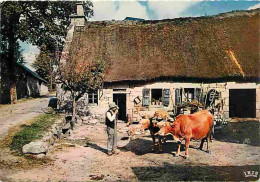 Animaux - Vaches - Limousin - La Ferme Au Toit De Chaume - Paysans - CPM - Voir Scans Recto-Verso - Cows