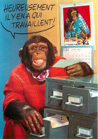 Animaux - Singes - Chimpanzé - Carte à Message - Animaux Humanisés - Carte Neuve - CPM - Voir Scans Recto-Verso - Singes