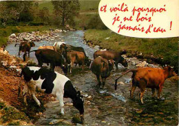 Animaux - Vaches - Carte Humoristique - CPM - Voir Scans Recto-Verso - Kühe