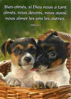 Animaux - Chiens - Rat Terrier - Chiots - CPM - Voir Scans Recto-Verso - Chiens