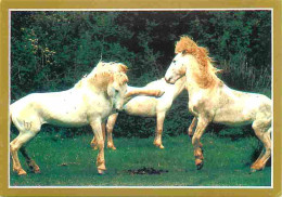 Animaux - Chevaux - La Passion Du Cheval - Photo Serge Farissier - Carte Neuve - Voir Scans Recto Verso  - Horses