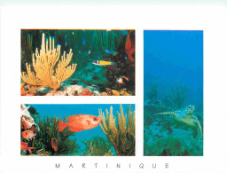 Martinique - Multivues - Poissons Tropicaux - Tortues - CPM - Voir Scans Recto-Verso - Autres & Non Classés