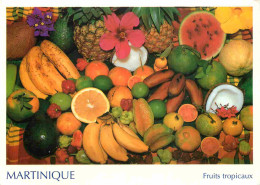 Martinique - Fruits Tropicaux - CPM - Voir Scans Recto-Verso - Autres & Non Classés