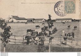 W21-47) MIRAMONT (LOT ET GARONNE) DEPOT DE REMONTE DE BOUILLAGUET- ( ANIMATION - CHEVAUX ) - Autres & Non Classés