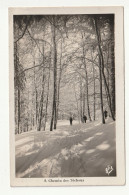 31 . LUCHON SUPERBANIERE . CHEMIN DES TECHOUS . 1954 - Luchon