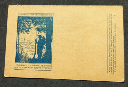 Carte De Franchise Militaire Officielle Modèle A1 Illustration HANSI Emprunt National - Lettres & Documents