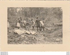 GUECKEDOU 1953 - 1955 - EXTRACTION DE L' HUILE DE PALME - DANS UN VILLAGE KISSIEN - (VUE  D'ENSEMBLE) - 2 SCANS  - Africa