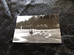 P-1133 , Photo , Lunéville, Ballade Dans Le Parc Des Bosquets, 1966 - Lieux