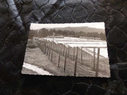 P-1134 , Photo , Camp De Concentration De  Struthof , Natzweiler, 1966 - Places