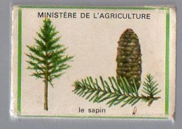 Boites D'Allumettes - LA FORÊT Est FRAGILE - LE SAPIN - Scatole Di Fiammiferi