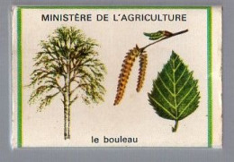 Boites D'Allumettes - LA FORÊT Est FRAGILE - LE BOULEAU - Matchboxes