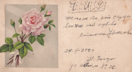 A24354 - Lilliput Small Postcard Flower 1942 - Flowers