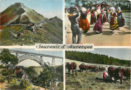 15 - SOUVENIR DU CANTAL - Autres & Non Classés