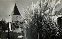 17 - SAINT PIERRE D'OLERON - LE MOULIN DE COIVRE - Ile D'Oléron