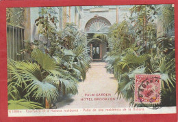 Cuba - Habana - Palm Garden - Hotel Brooklyn   - La Havane - Cuba
