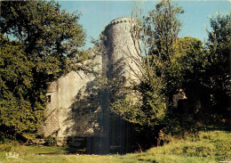 17 - SAINT JEAN D'ANGLE - LE CHATEAU - Sonstige & Ohne Zuordnung