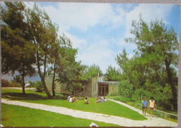 ISRAEL KIBBUTZ SASA UPPER GALILEE POSTCARD ANSICHTSKARTE CARTE POSTALE CARTOLINA CARD PC CP POSTKARTE - Israël