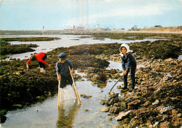 17 - ILE D'OLERON - Ile D'Oléron