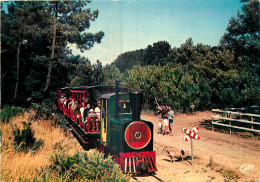 17 - ILE D'OLERON - LE PETIT TRAIN - Ile D'Oléron