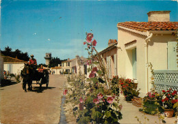 17 - ILE D'AIX - RUE MARENGO - Altri & Non Classificati