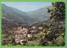 VALGORGE ET SAINT MARTIN -  / VUE AERIENNE  / Carte écrite - Autres & Non Classés