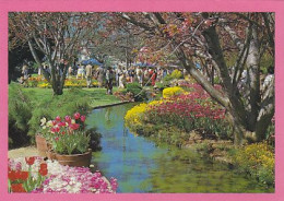 AK 215233 AUSTRALIA - Bowral - The Corbert Gardens - Andere & Zonder Classificatie