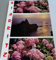 64 Biarritz 3 Vues Crepuscule Sur Le Rocher De La Vierge Hortensias Roses -ed Lavieille 1110 - Biarritz