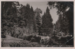 46418 - Überlingen - Partie Im Stadtgarten - 1956 - Ueberlingen