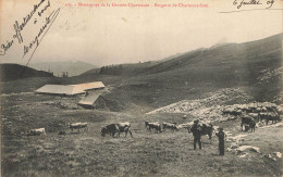 E951 Montagnes De La Grande Chartreuse Bergerie De Charmant Som - Autres & Non Classés