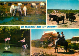 13 EN CAMARGUE AVEC LES GARDIANS - Autres & Non Classés