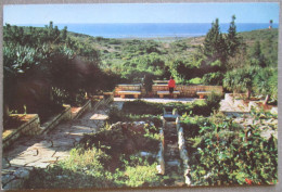 ISRAEL ZICHRON YAACOV SETTLEMENT GARDEN CARMEL MOUNT ANSICHTSKARTE POSTCARD PC AK CP CARTE POSTALE CARD CARTOLINA - Israël