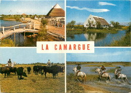 13 - LA  CAMARGUE - Andere & Zonder Classificatie