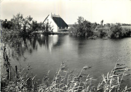 13 - LA  CAMARGUE - Sonstige & Ohne Zuordnung