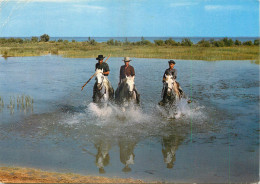 13 - EN CAMARGUE - Autres & Non Classés