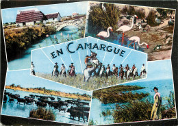  13 - EN CAMARGUE - Sonstige & Ohne Zuordnung