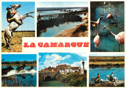 13 - EN CAMARGUE - MULTIVUES - Autres & Non Classés