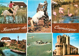 13 - SOUVENIR DE CAMARGUE - MULTIVUES - Sonstige & Ohne Zuordnung