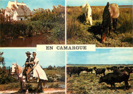 13 - EN CAMARGUE - MULTIVUES - Other & Unclassified