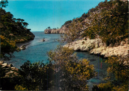 13 - CASSIS - Cassis