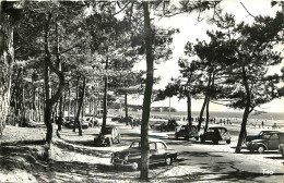 17 - SAINT GEORGES DE DIDONNE - LE BOULEVARD - Saint-Georges-de-Didonne