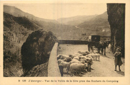 15 - VUE DE LA VALLEE DE LA CERE - Autres & Non Classés