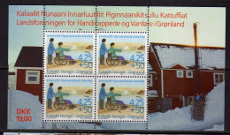Groenland - (1996) - BF -  Association Des Handicapes --Neufs**- MNH - Blocchi