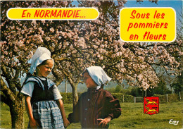 14 - FOLKLORE NORMAND - Other & Unclassified