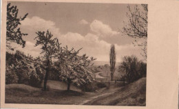 69068 - Landschaft Mit Blühenden Bäumen - 1939 - Autres & Non Classés