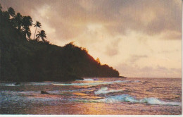 Cpsm Vue De Tiarei Coucher De Soleil - French Polynesia