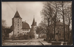 AK Nidau Am Bielersee, Schloss Nidau Mit Strassenpartie  - Nidau