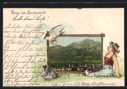 Passepartout-Lithographie Reichenhall, Ortsansicht Mit Bergpanorama, Kleiner Wanderer, Schwalbe  - Bad Reichenhall