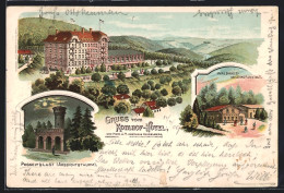 Lithographie Heidelberg, Kohlhof Hotel, Waldhaus-Milchkuranstalt, Posselt`s Lust Aussichtsturm  - Heidelberg