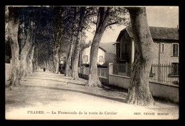 66 - PRADES - LA PROMENADE DE LA ROUTE DE CATTLAR - Prades