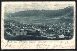 AK Ebingen, Blick Auf Den Ort  - Autres & Non Classés